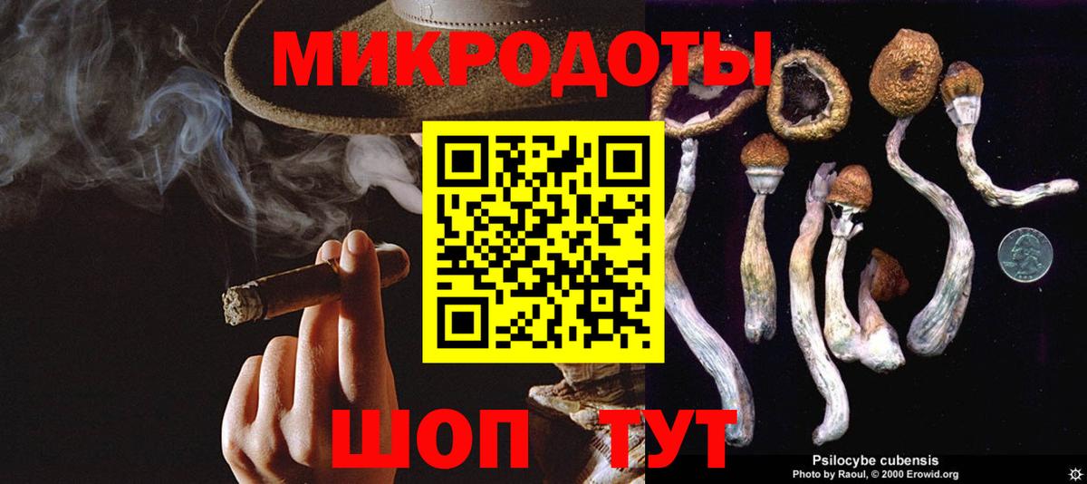 Псилоцибиновые грибы прущие грибы Красногорск